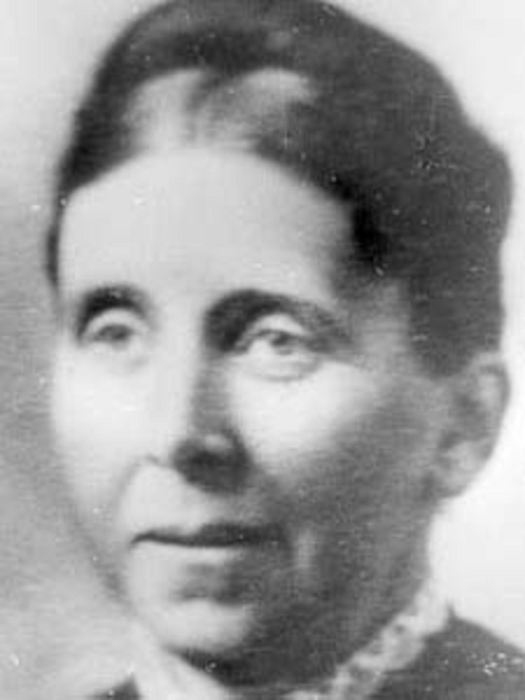 Harriet Dye (1843 - 1893) Profile
